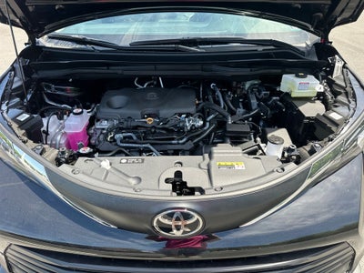 2026 Toyota Sienna XLE