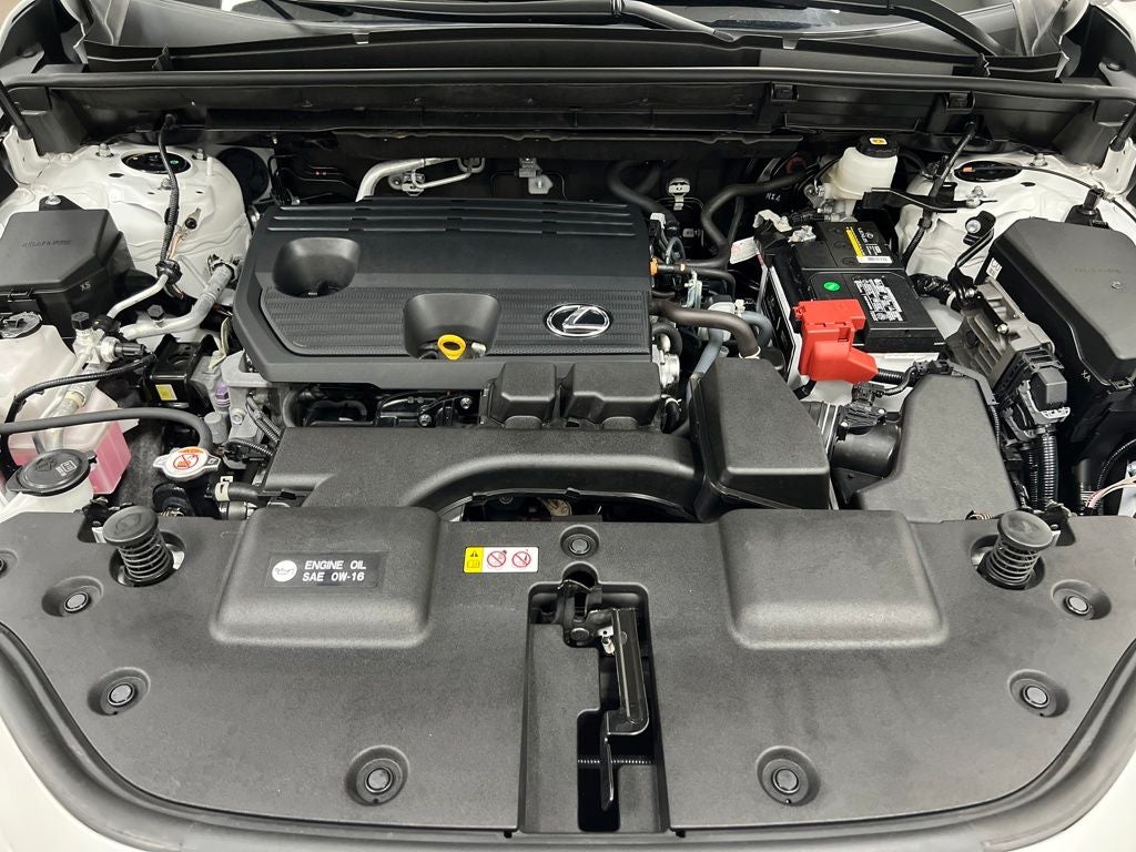 2022 Lexus NX 250 Base