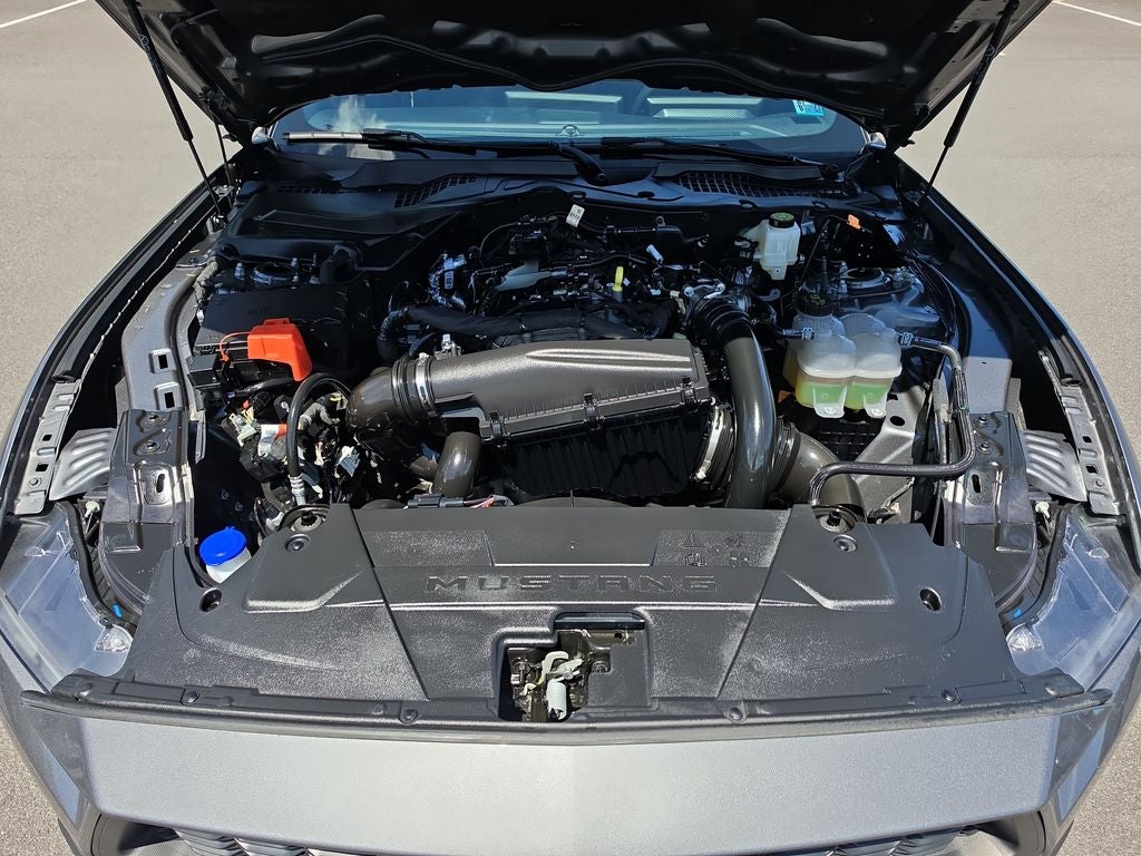 2025 Ford Mustang EcoBoost