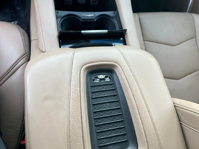 2019 Cadillac Escalade Platinum Edition