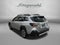 2025 Subaru Outback Limited XT